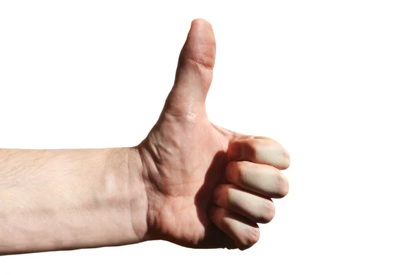 Thumbs up, white background