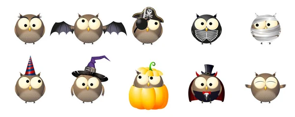 Halloween owls in fancy dresses/ costumes — Stock Photo, Image