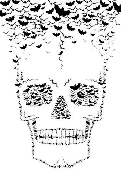 Skull - bats illustration