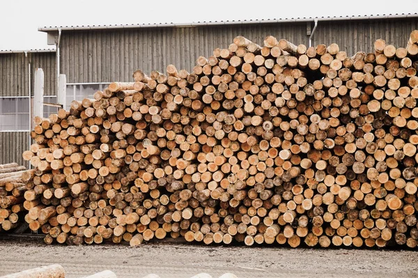 Madeira cortada, pilha de madeira, lenha serraria — Fotografia de Stock