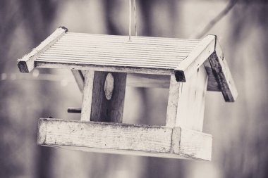 Bir halat üzerinde asılı kuş masa