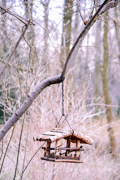 Птичий стол висит на веревке в парке — стоковое фото