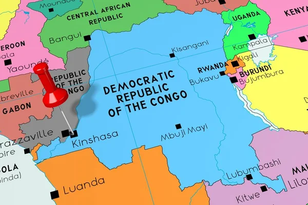 República Democrática del Congo, Kinshasa - capital, pinne —  Fotos de Stock