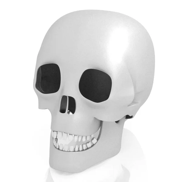 Teschio umano 3D su sfondo bianco — Foto Stock