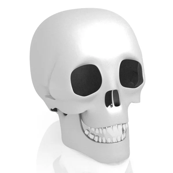Teschio umano 3D su sfondo bianco — Foto Stock