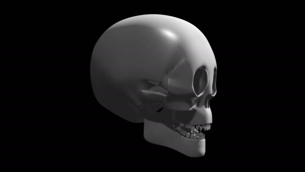 旋转人类头骨 在黑色背景上隔离 — 图库视频影像