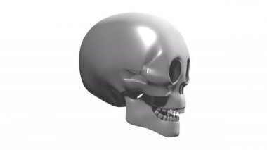 3d 4k dönen insan kafatası - beyaz arka plan üzerinde izole
