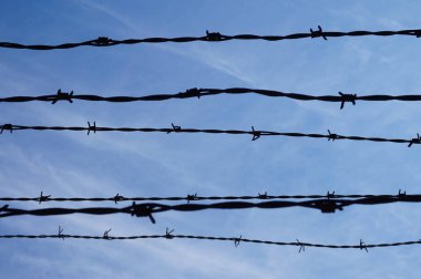 Dikenli tel, arka planda gökyüzü - hapishane / hapishane