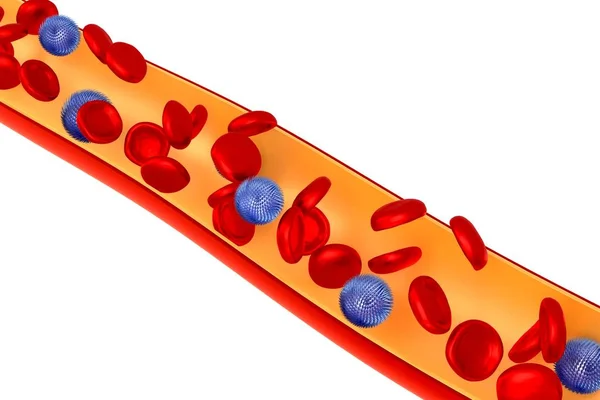 3d 정맥, 혈액 세포, 바이러스 세포 — 스톡 사진