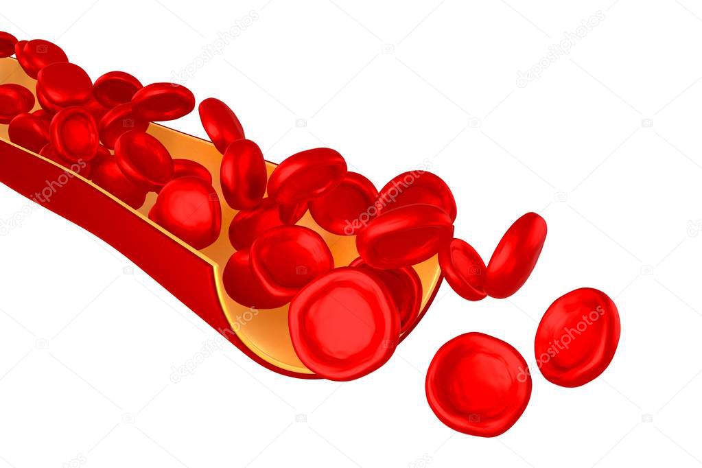3D vein, red blood cells - isolated on white background