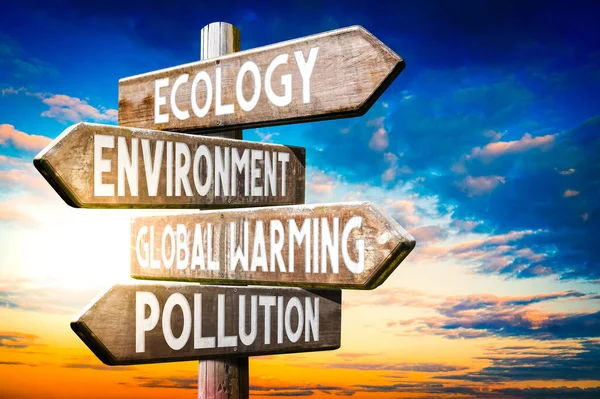 Ekologia Środowisko Globalne Ocieplenie Zanieczyszczenie Środowiska Drewniany Drogowskaz Znak Drogowy — Zdjęcie stockowe