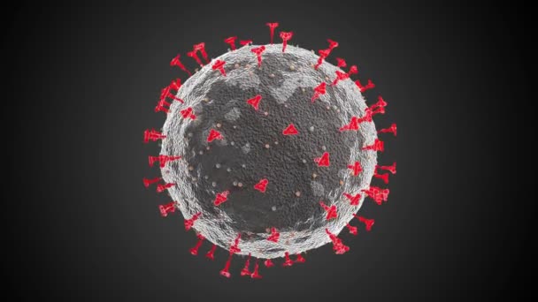 灰色の背景にSarsのCov 2として知られている重度の急性呼吸器症候群コロナウイルス細胞の現実的な3Dアニメーション 4K解像度 3840 2160 — ストック動画