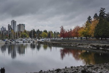 Sahildeki Vancouver sonbahar görünümü