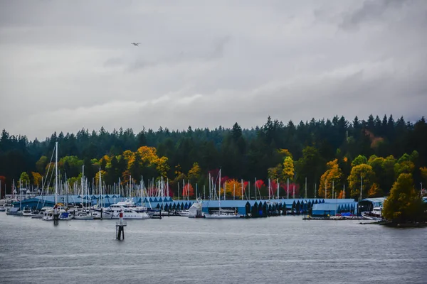 Nuvolosa Giornata Autunnale Porto Turistico Vancouver — Foto Stock