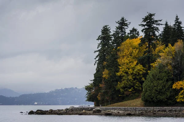 Stanley Park Autunno Alberi — Foto Stock