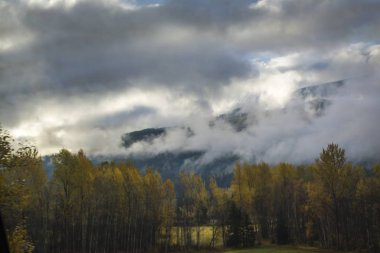 Sonbahar Orman ve dağlar bulutlar ile kaplı