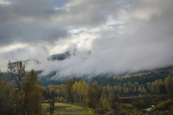 Bosque Otoñal Montañas Cubiertas Nubes —  Fotos de Stock