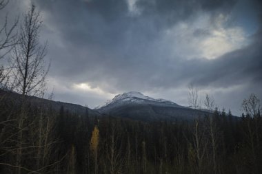 Rocky Dağları Kanada'ya tren sürme