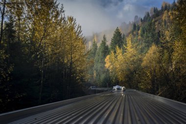 Tren seyahat sonbahar görünümü