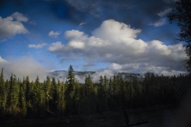 Gölgeli Nehri ile yeşil orman