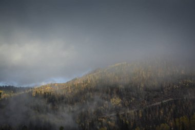 Orman kaplı dağ güneşli peak