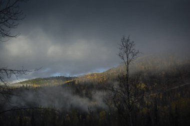 Bulutlar kaplı dağ tepe sarı sonbahar ağaçları ile