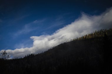 Orman kaplı dağ güneşli peak