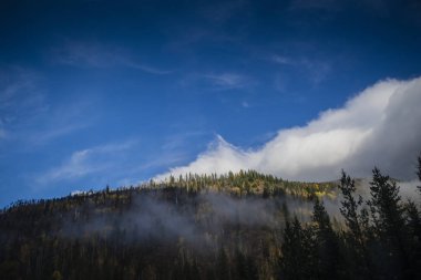 Orman kaplı dağ güneşli peak
