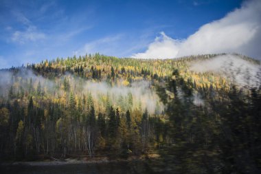Güneş dağ sırtı ile sonbahar renkli orman yaktı