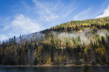Orman beyaz bulutlar ve mavi gökyüzü ile renkli güzel sonbahar