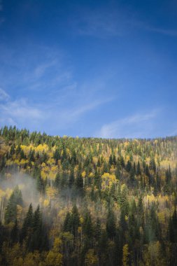 Orman beyaz bulutlar ve mavi gökyüzü ile renkli güzel sonbahar