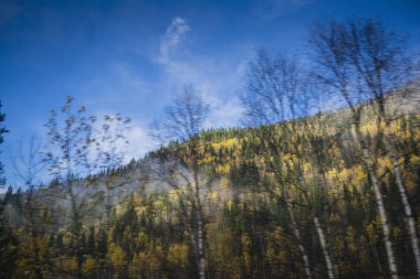 Dağ sırtı ile sonbahar orman