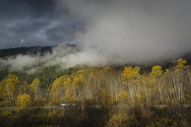 Alçak bulutlar ile sonbahar ormandaki yolda araba