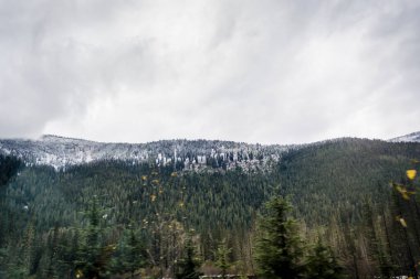 Kanada Rocky Dağları, parlak bir gün