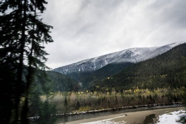 Kanada Rocky Dağları, parlak bir gün
