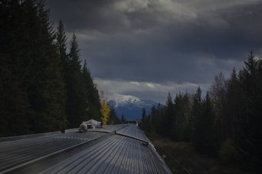 Tren için sonbahar koridor