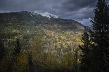 Kar Rocky dağ tepe tarafında sonbahar ormanla kaplı