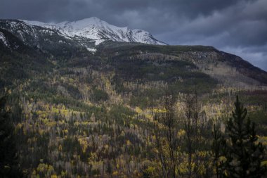 Rocky Dağları sonbahar renkli dağ tarafı