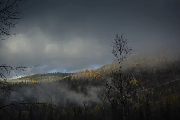 Nubes Cubiertas Pico Montaña Con Árboles Amarillos Otoño —  Fotos de Stock