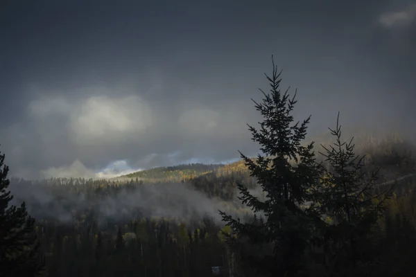 Sun Shining Mountain Covered Trees — Stock Photo, Image