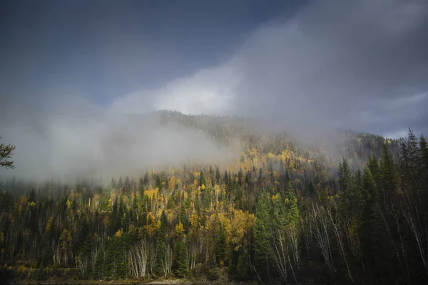 Dağ sırtı ile sonbahar orman