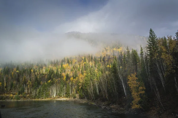 İnanılmaz bulutların üzerinde sonbahar orman