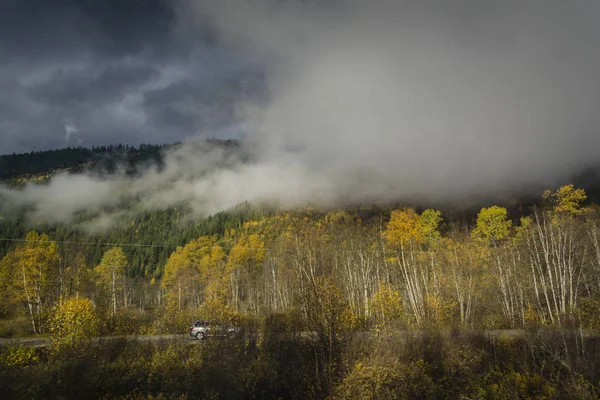 Alçak bulutlar ile sonbahar ormandaki yolda araba