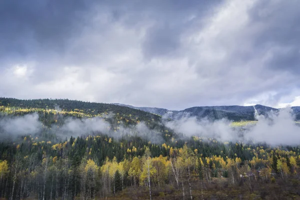 Rocky Dağları tepelerinde sonbahar orman ve beyaz alçak bulutlar ile