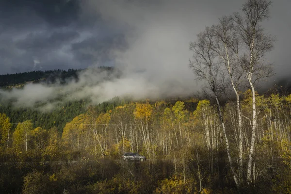 Alçak bulutlar ile sonbahar ormandaki yolda araba