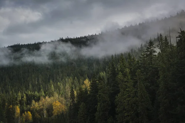 Ett Soligt Fält Mörka Åsen Ett Berg — Stockfoto