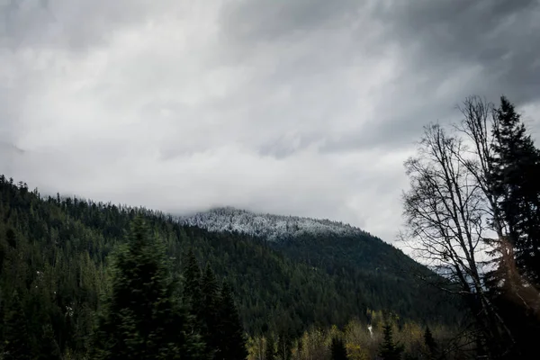 Kanada Rocky Dağları, parlak bir gün