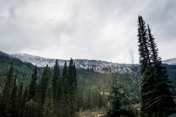 Kanada Rocky Dağları, parlak bir gün