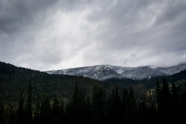 Kanada Rocky Dağları Parlak Bir Gün — Stok fotoğraf