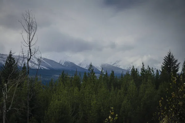 Wunderschöne Kanadische Rockies Berge — Stockfoto